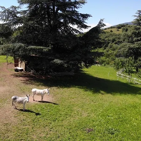 Nyaraló Eco Farm La Cavallina Affi