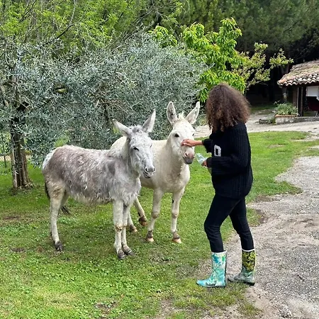 Cavallina Retreat Affi